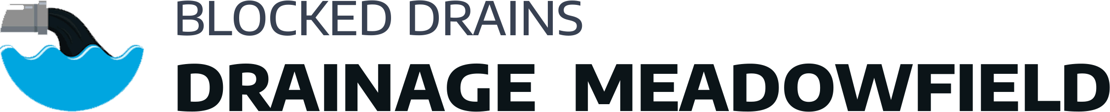 website logo